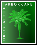 Arbor Care | First Certified Arbor Care | Inland Empire